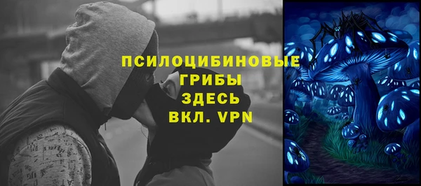 синтетический гашиш Алексин