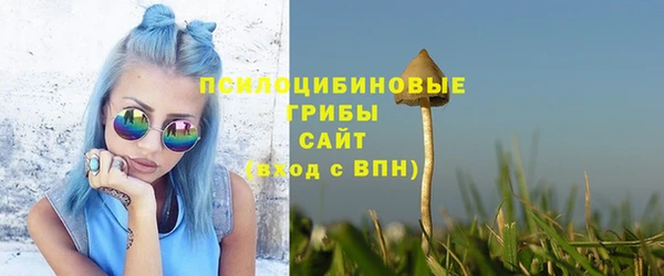 синтетический гашиш Алексин