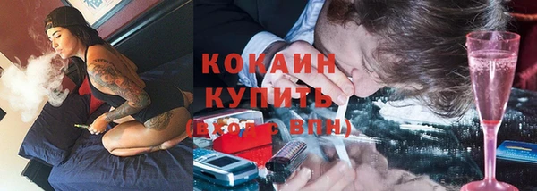 твердый Новозыбков