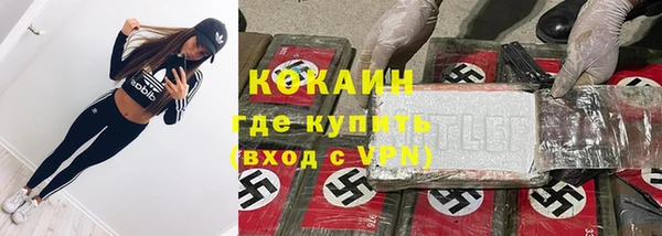 твердый Новозыбков
