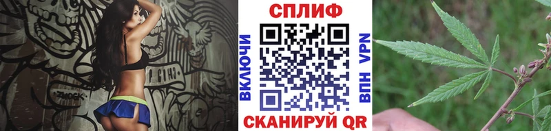 Марихуана индика  где найти наркотики  Новая Ладога 